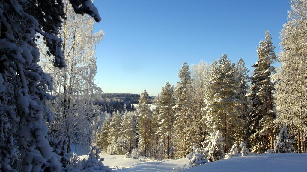 Kerimaa Golf Chalet Close To Savonlinna Kerimäki Dış mekan fotoğraf